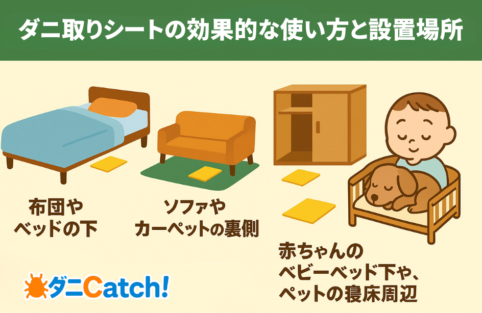 ダニ取りシートの効果的な使い方と設置場所